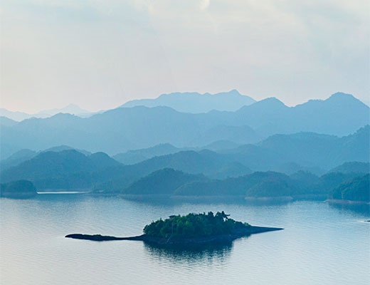 文化概覽 文化概覽